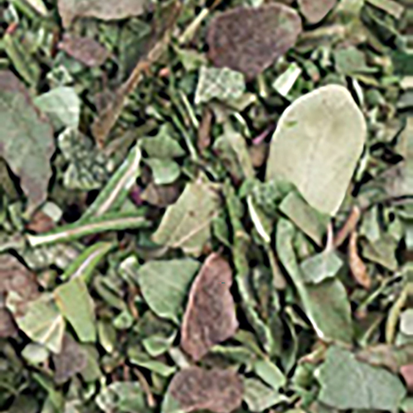 amestec-de-ierburi-italiene-liofilizate_10