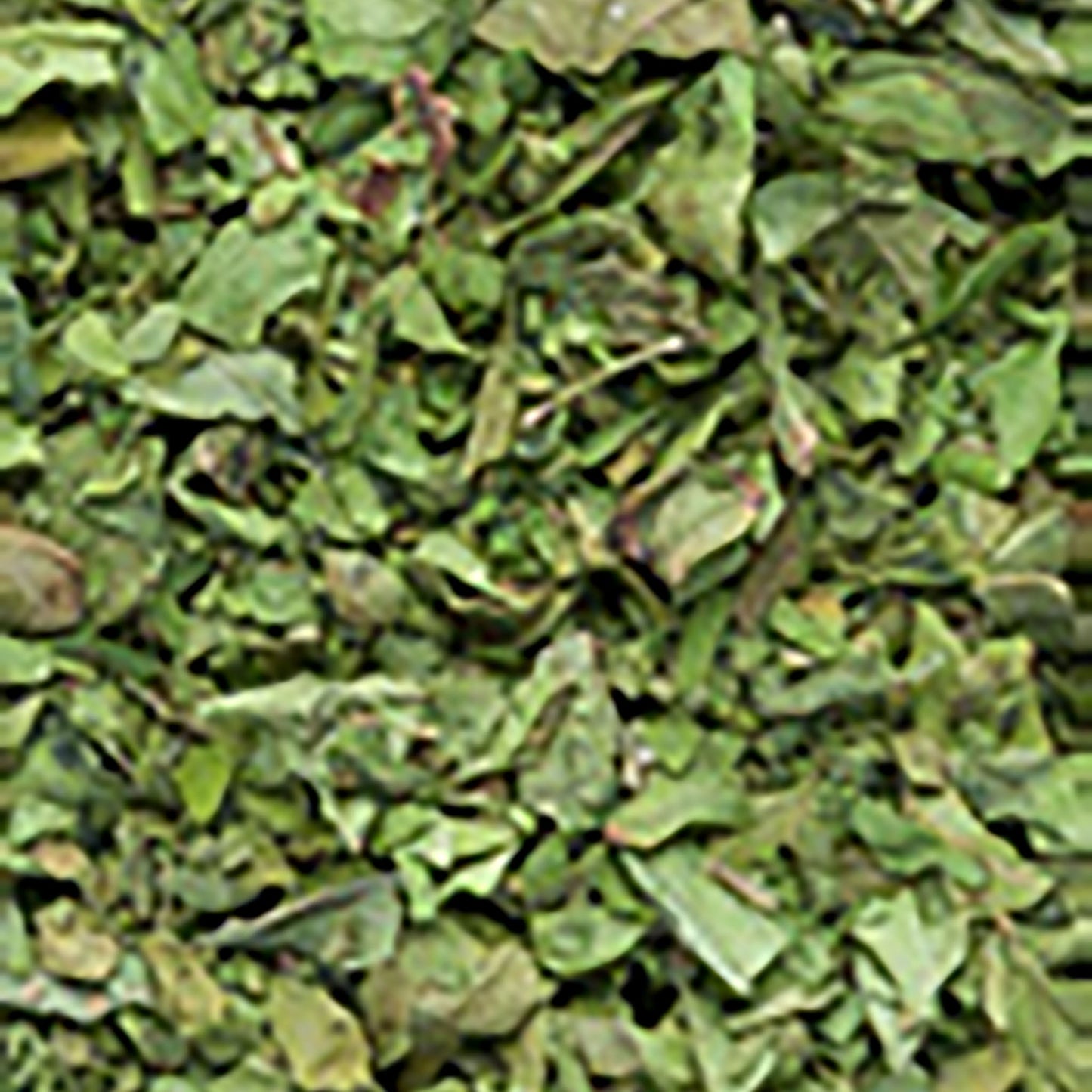 leustean-uscat-maruntit_10