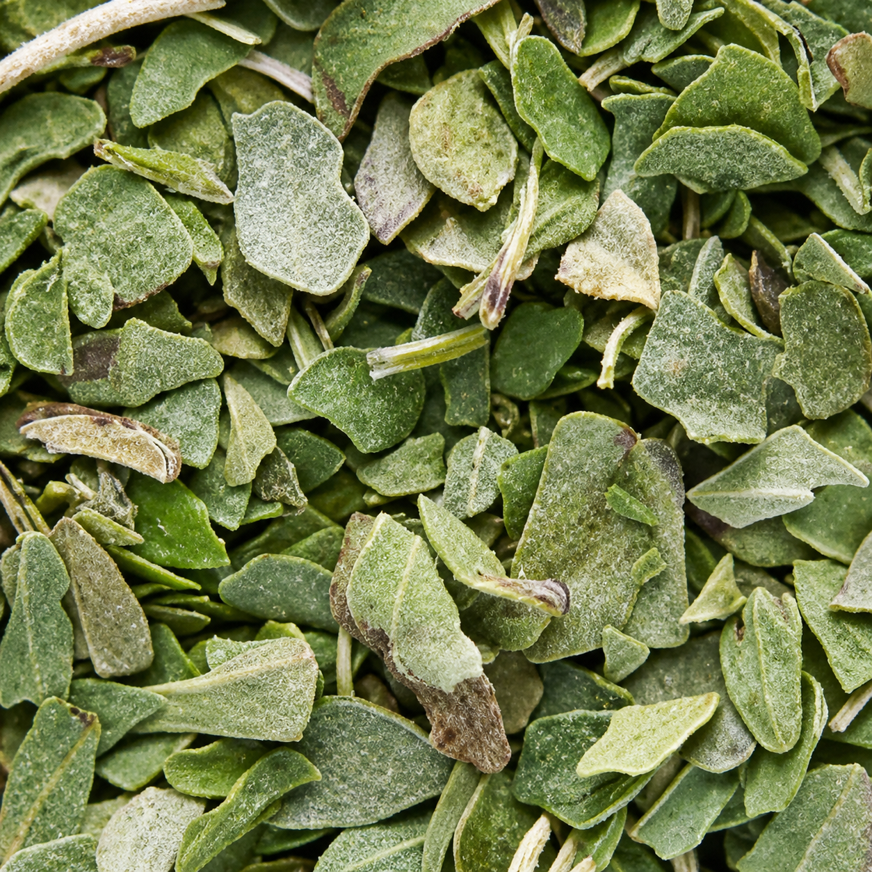 Imagine produs Oregano liofilizat, cutie 70 g