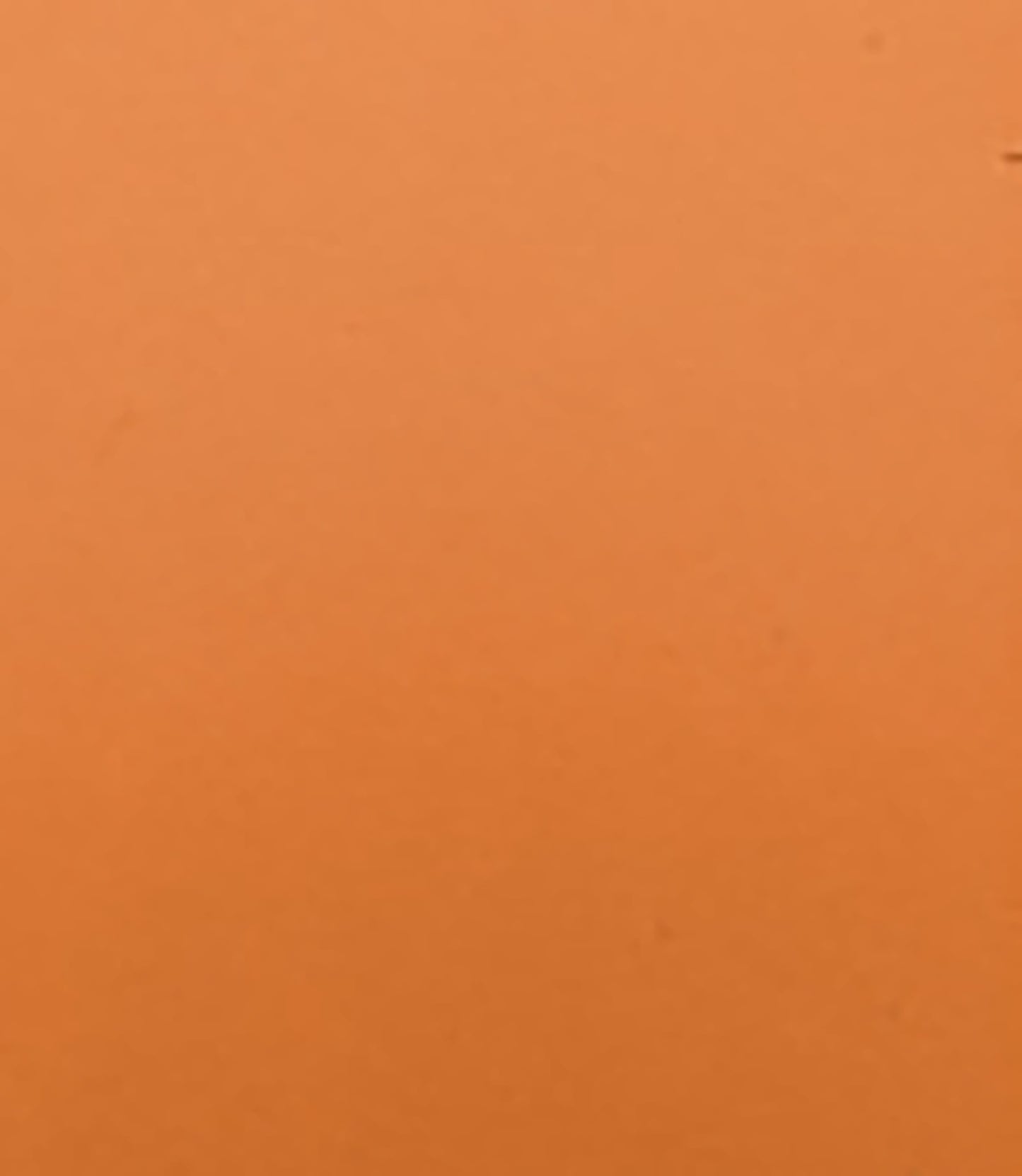 otet-balsamic-condimento-bianco_12