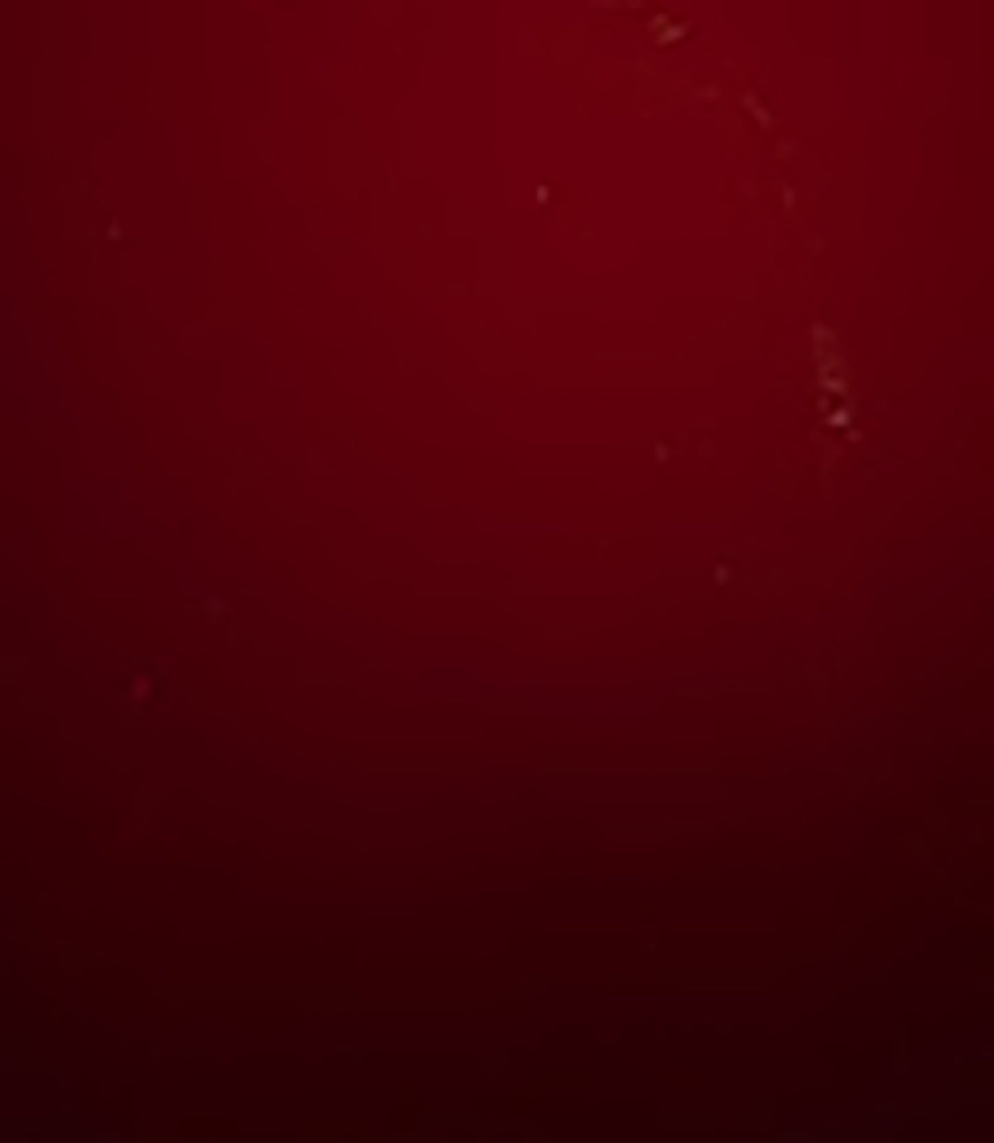 otet-balsamic-de-modena_10