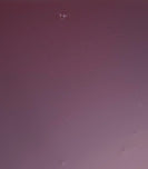 otet-balsamic-de-prune_10