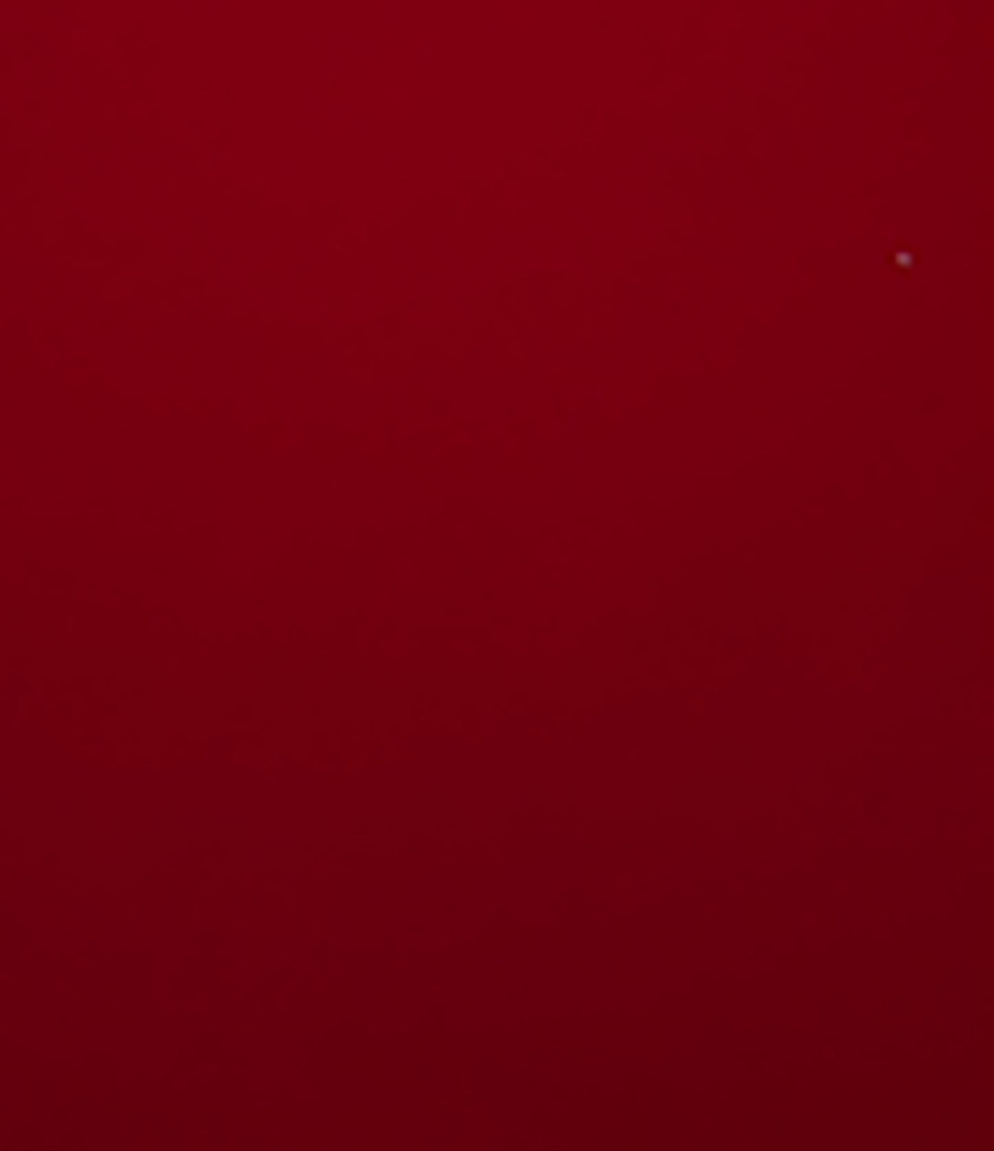 otet-balsamic-de-zmeura_10