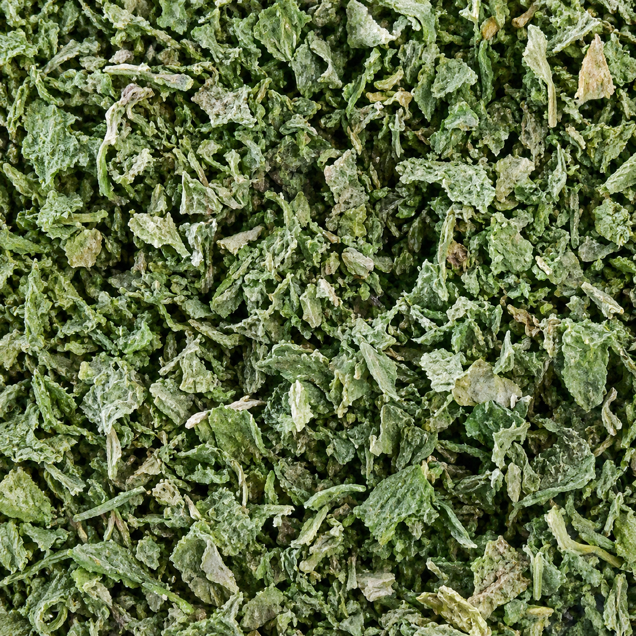 Imagine produs Salvie liofilizată, cutie 30 g