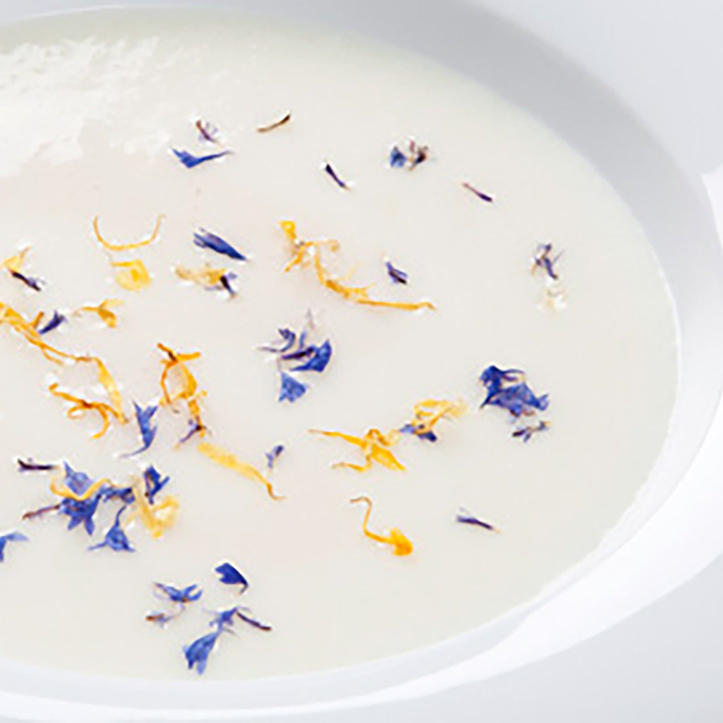 supa-crema-de-conopida_10