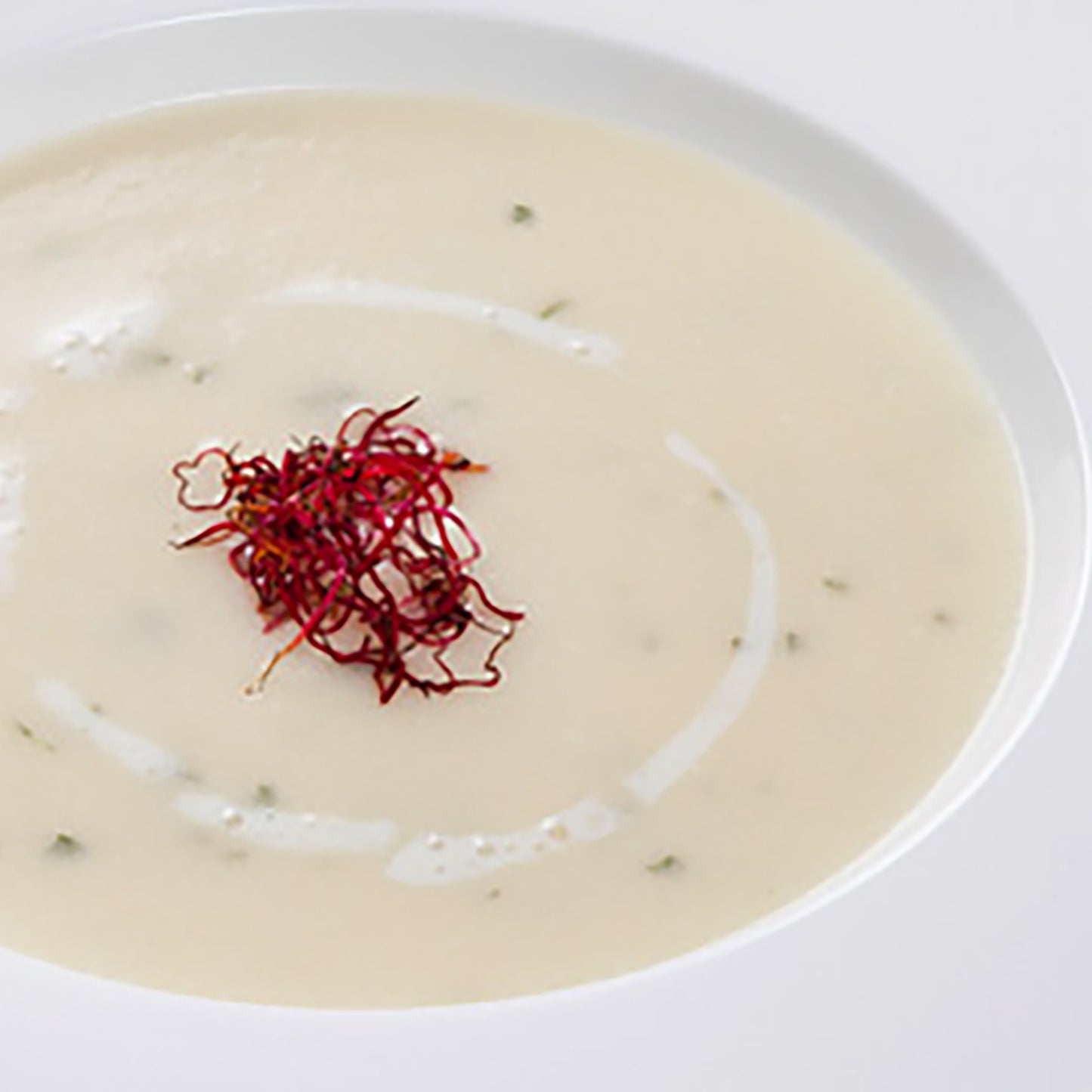 supa-crema-de-gulie_10