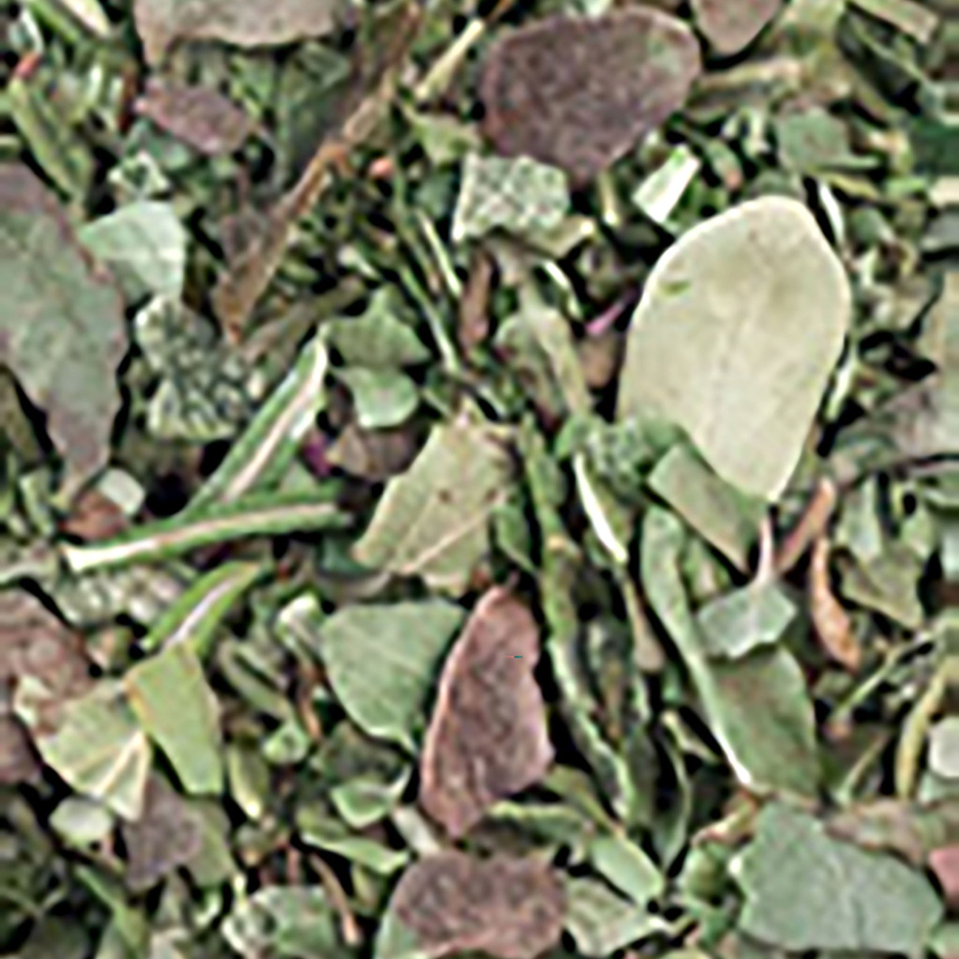 amestec-de-ierburi-italiene-liofilizate_10