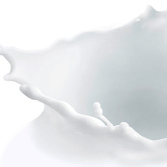 Lapte integral praf 26% grăsime, 1 kg