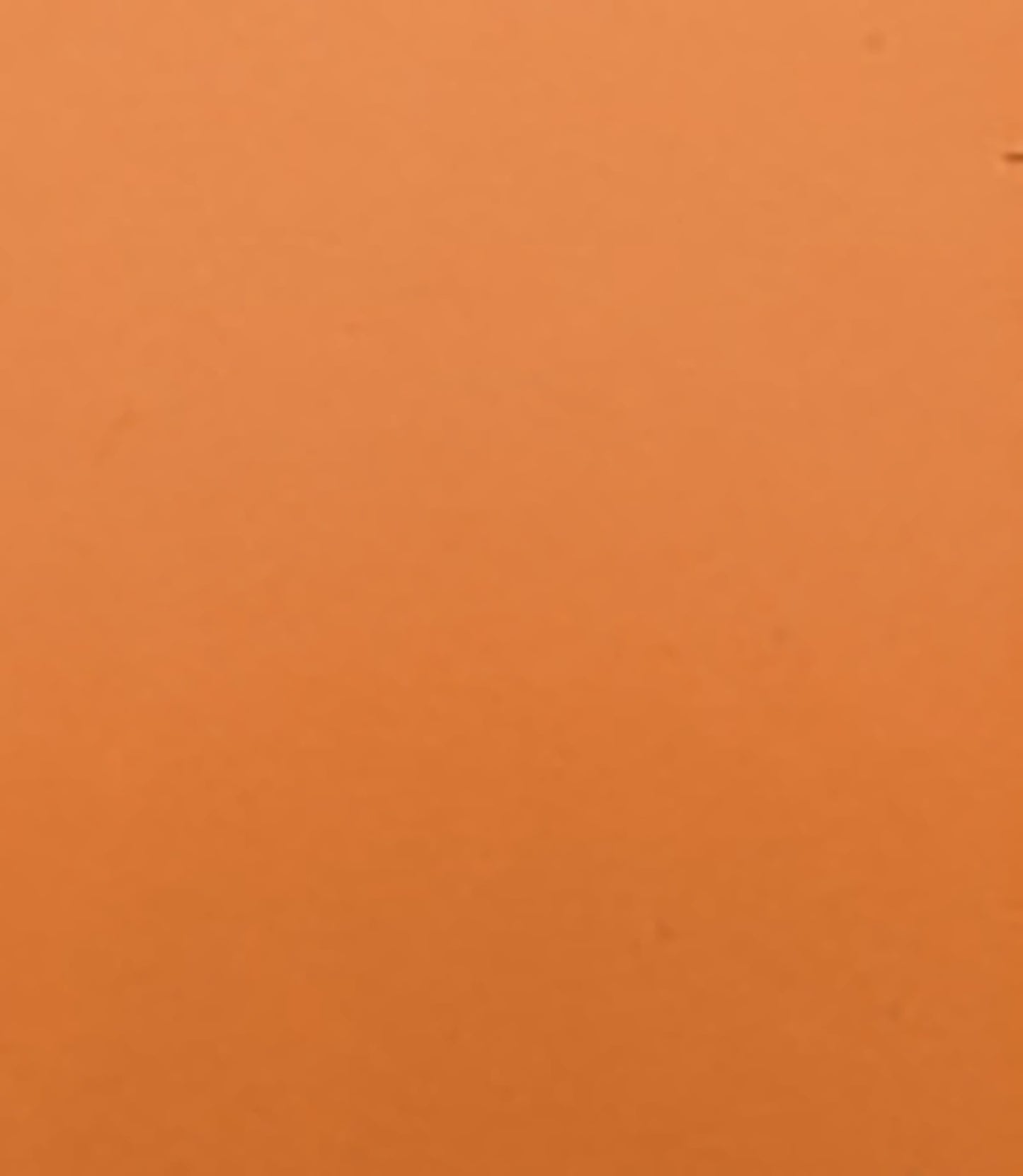 otet-balsamic-condimento-bianco_10