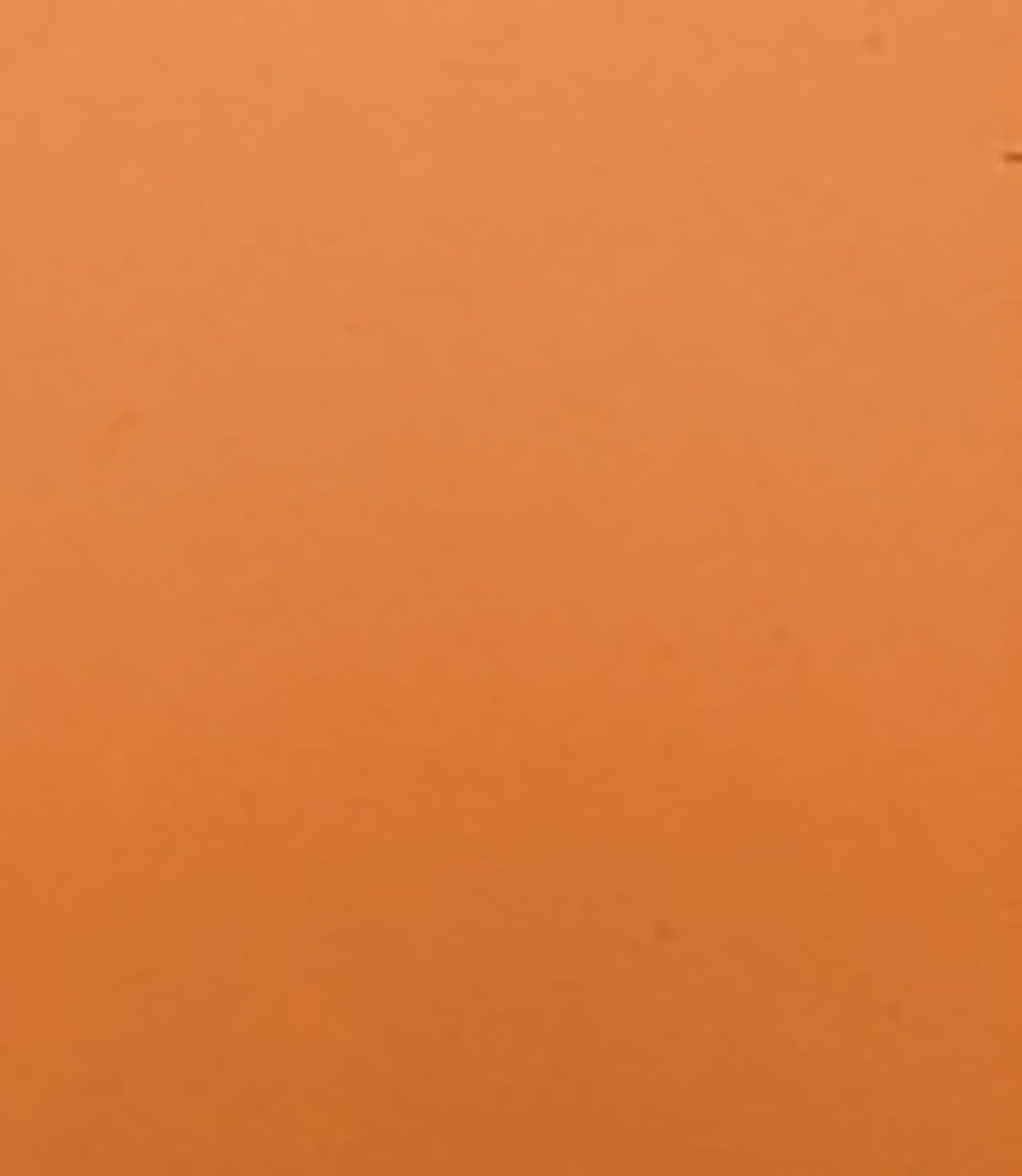 otet-balsamic-condimento-bianco_10