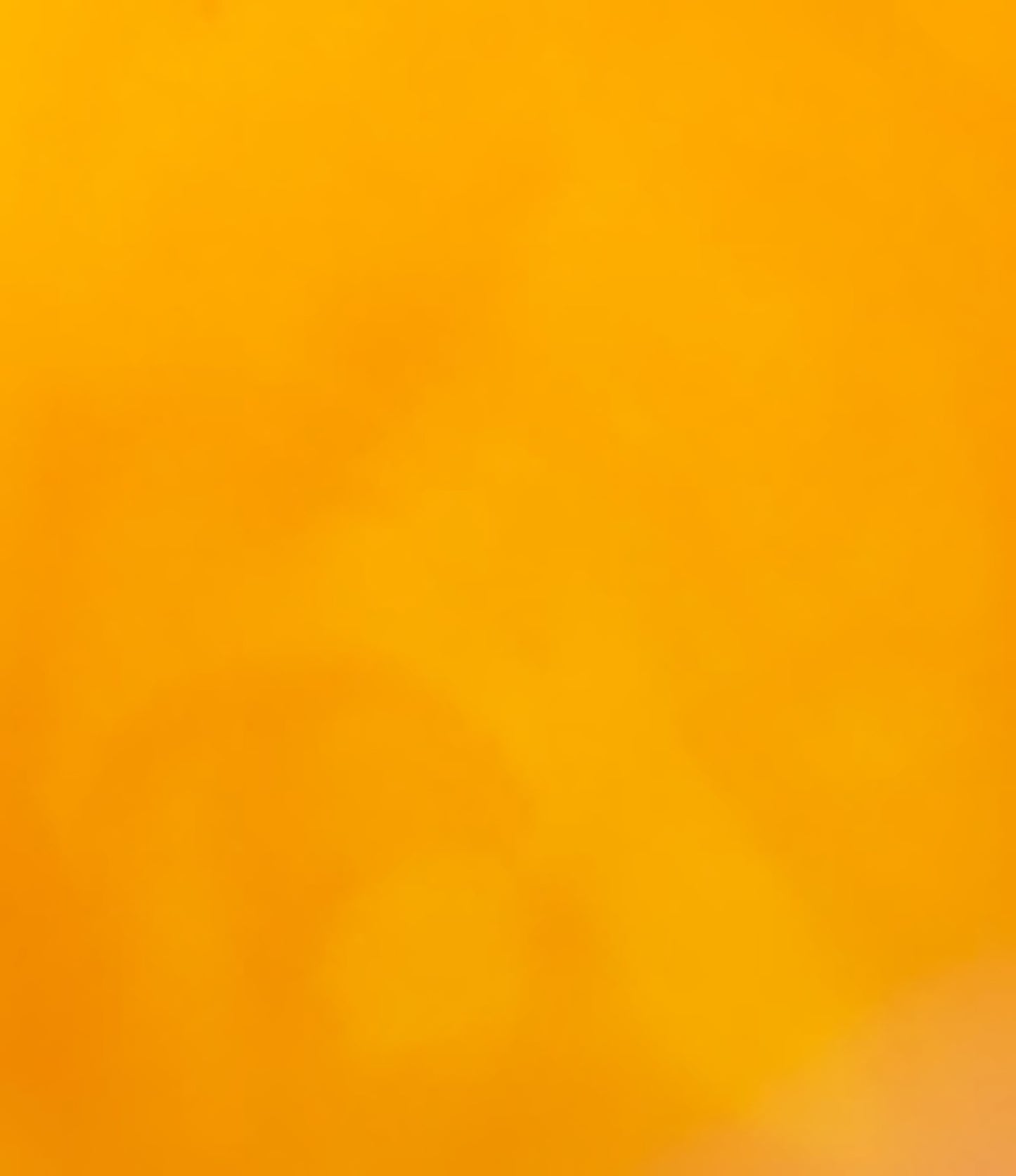 otet-balsamic-de-mango_10