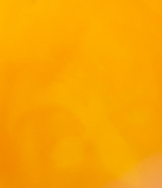 otet-balsamic-de-mango_10