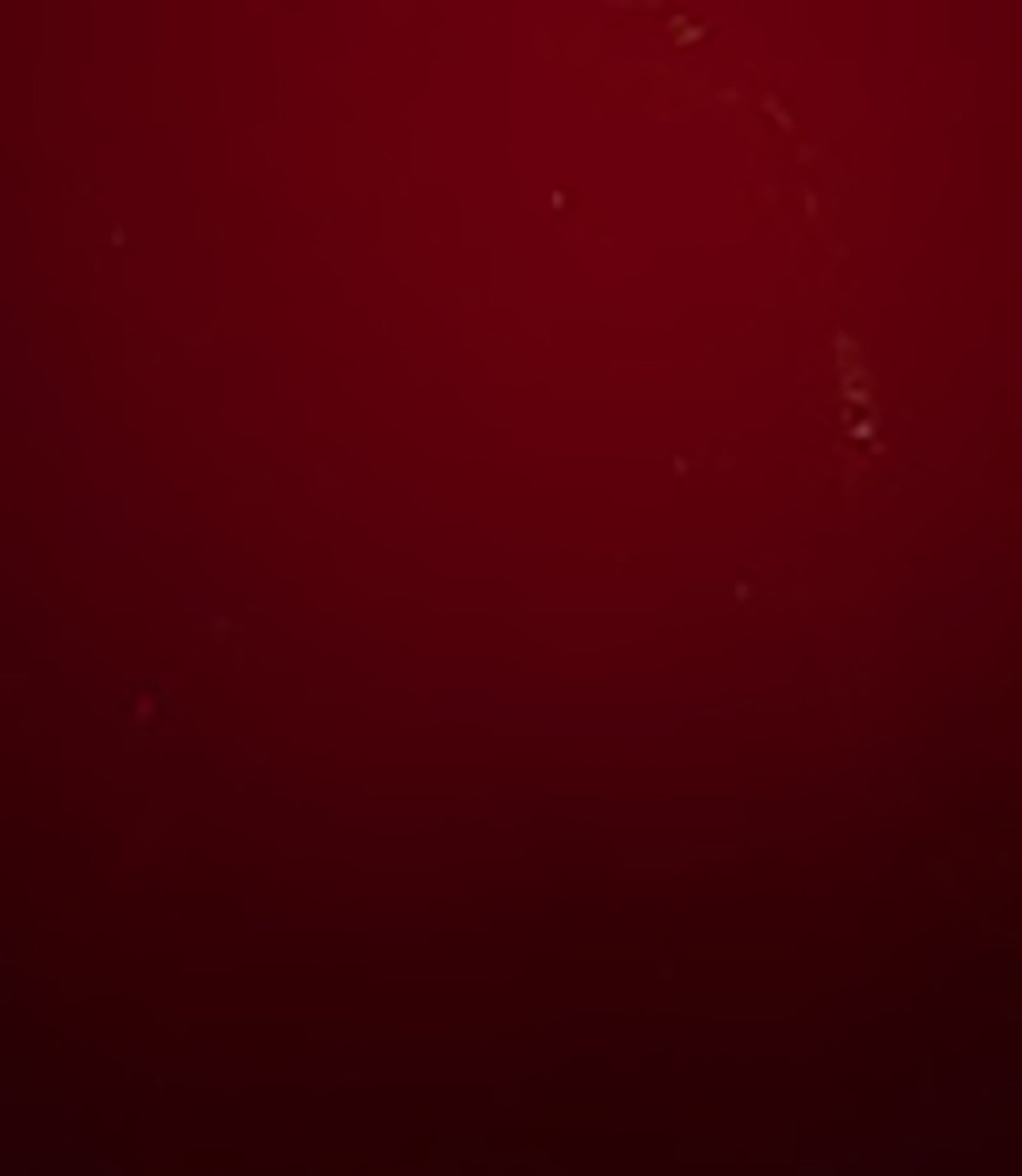 otet-balsamic-de-modena_10