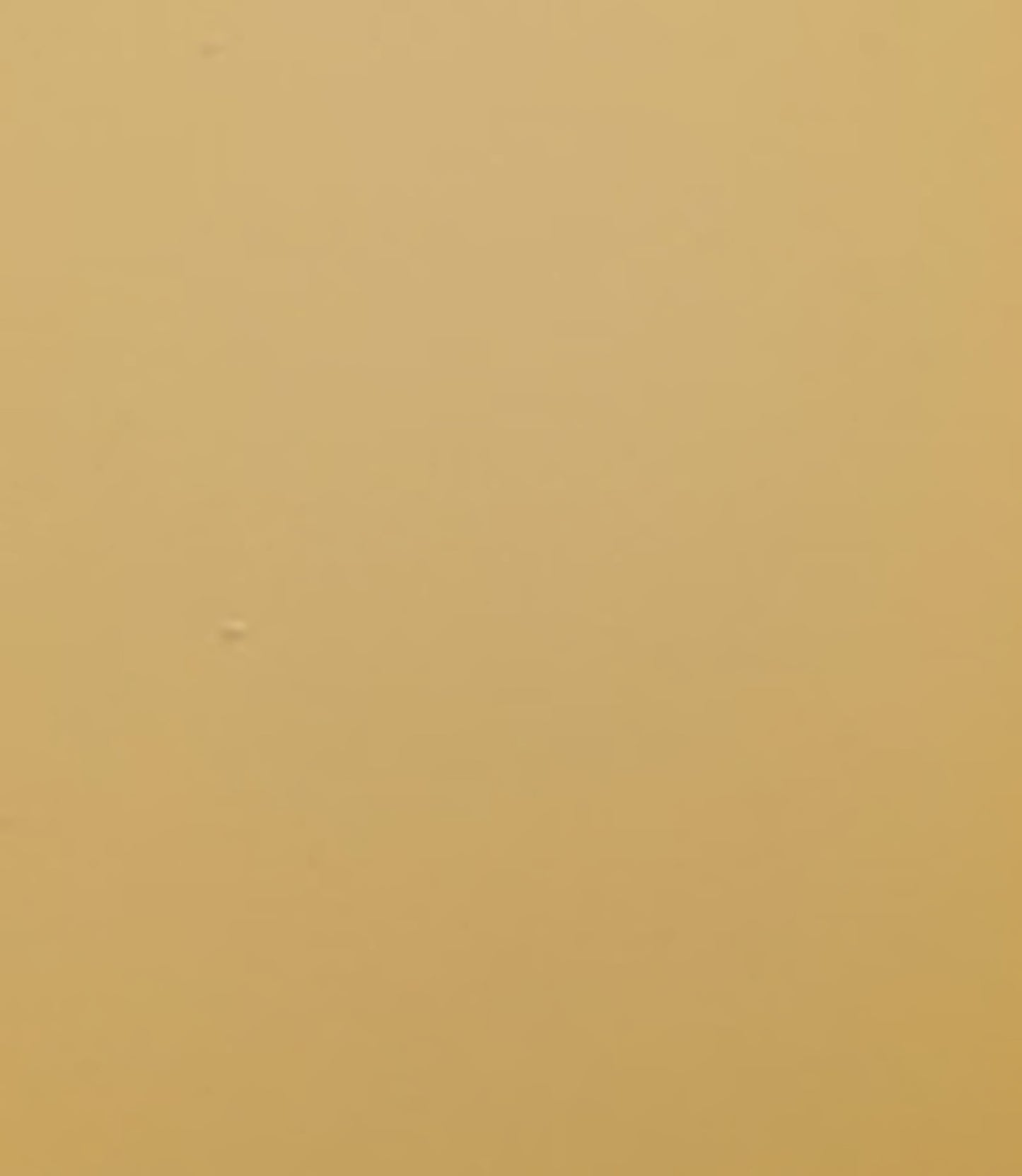 otet-balsamic-de-pere_10