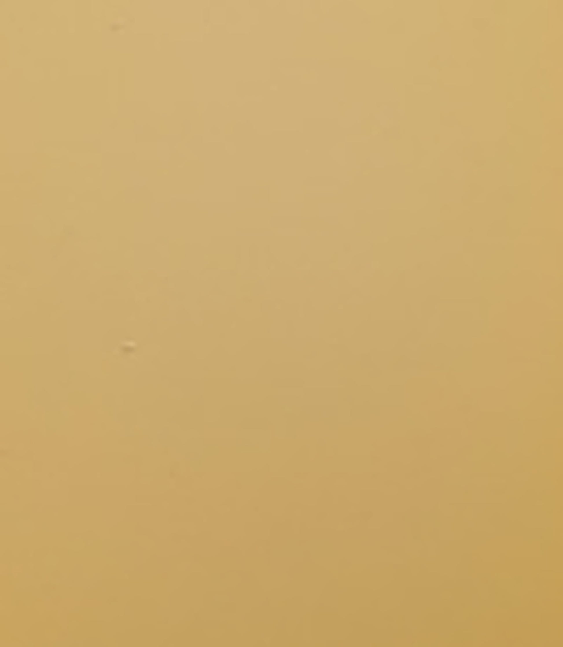 otet-balsamic-de-pere_10