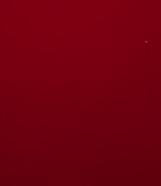 otet-balsamic-de-zmeura_10