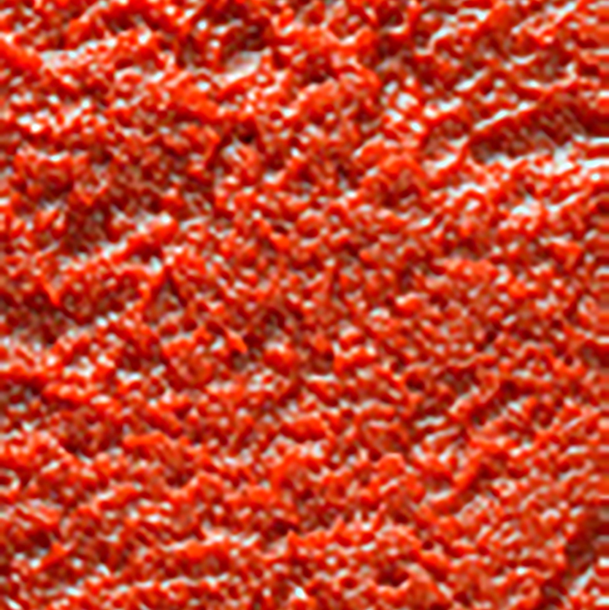 pasta-de-rosii-dublu-concentrata_10