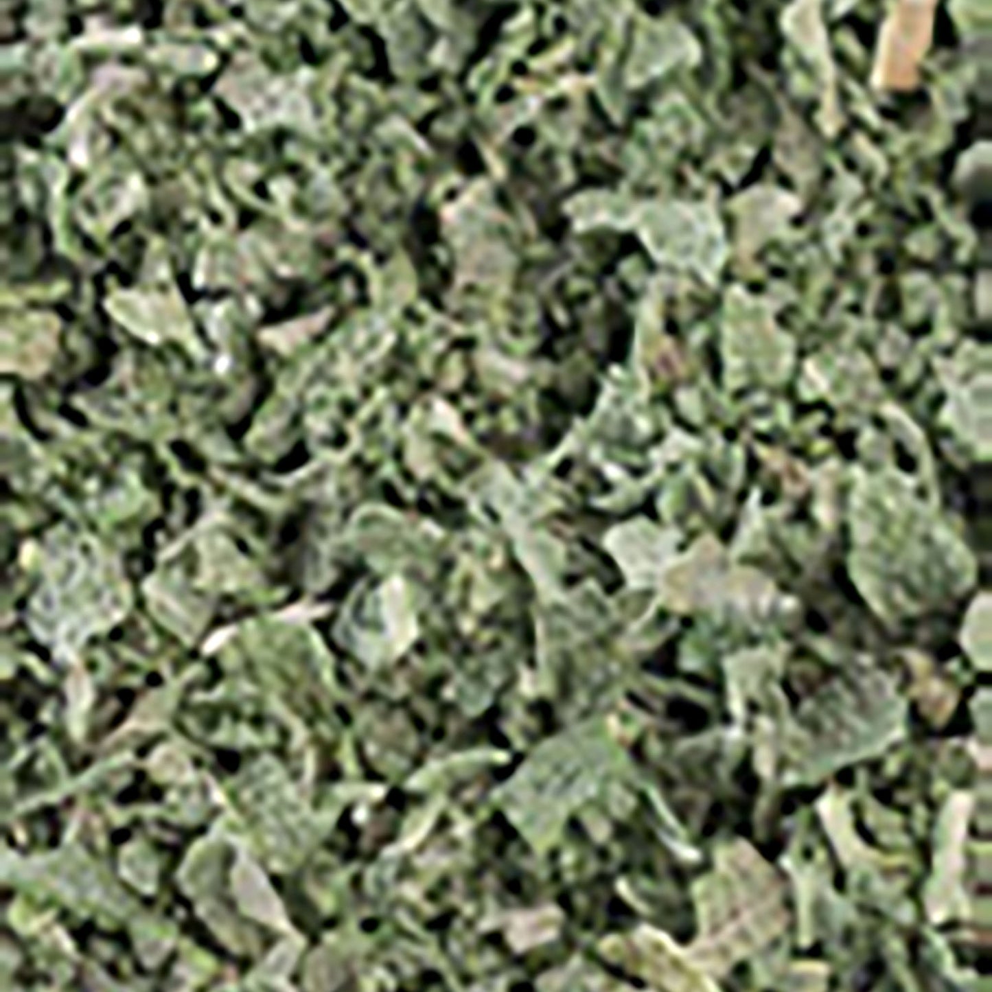 salvie-liofilizata_10