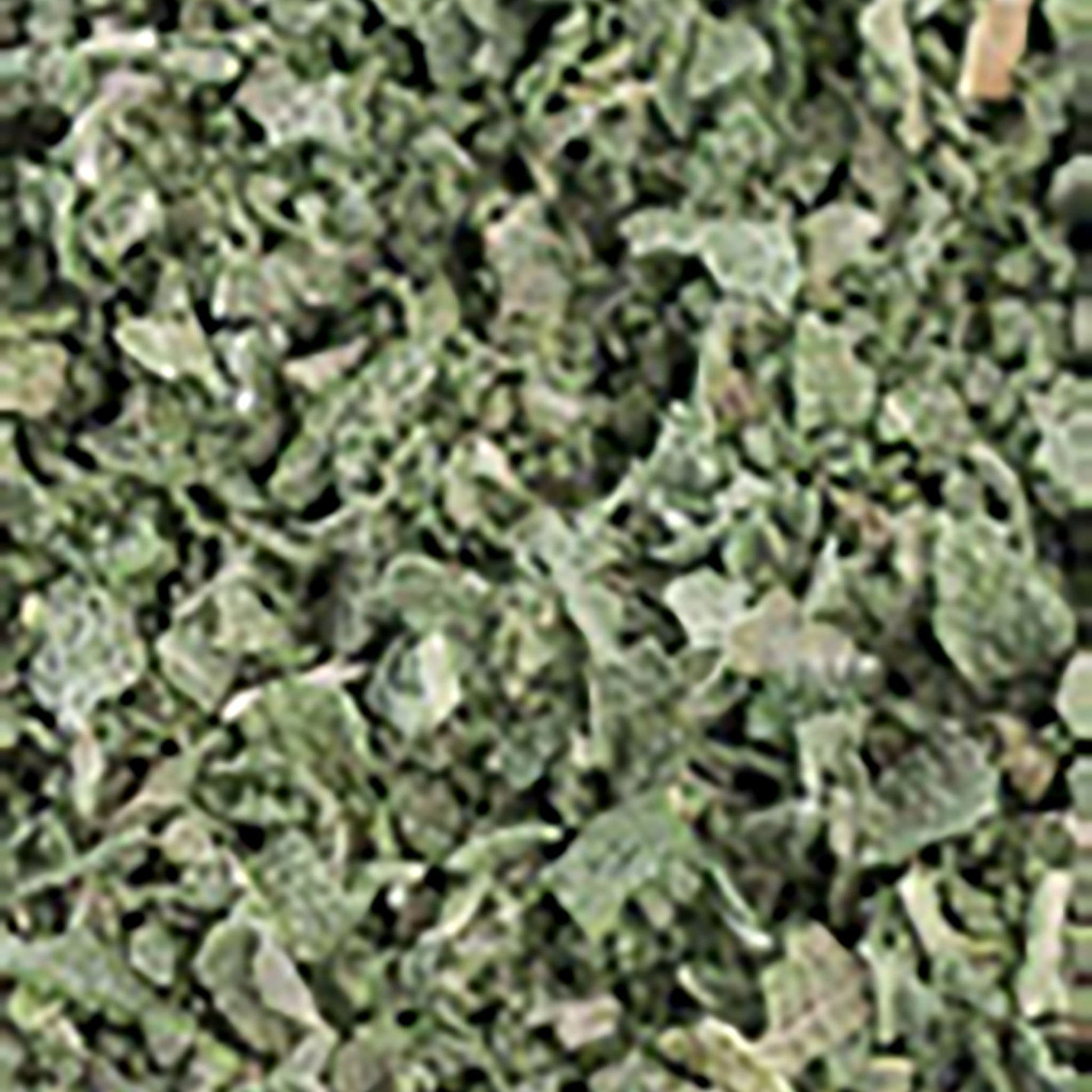 salvie-liofilizata_10