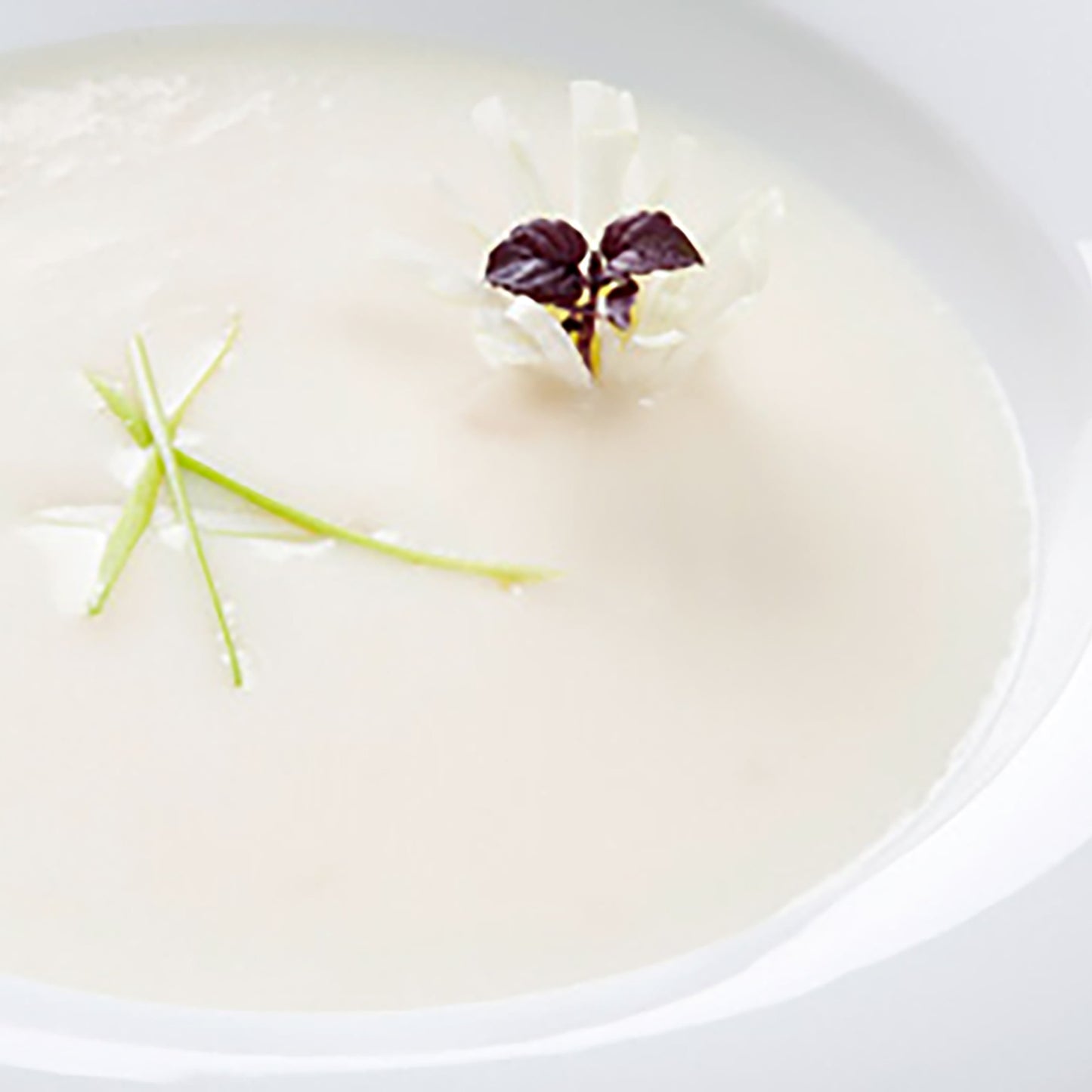 supa-crema-de-pasare_10