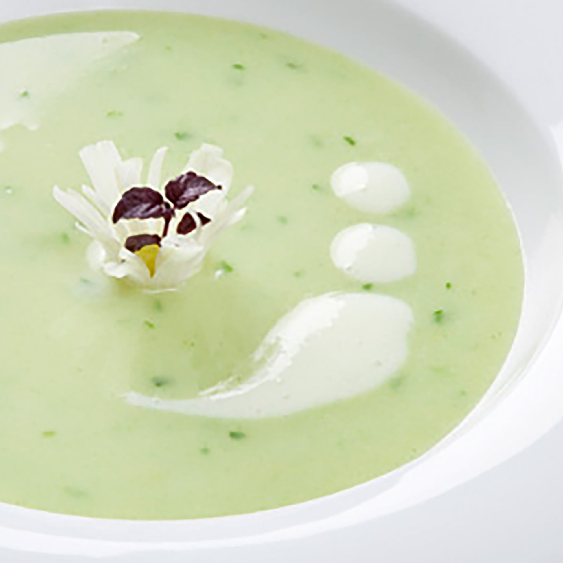 supa-crema-de-praz_10