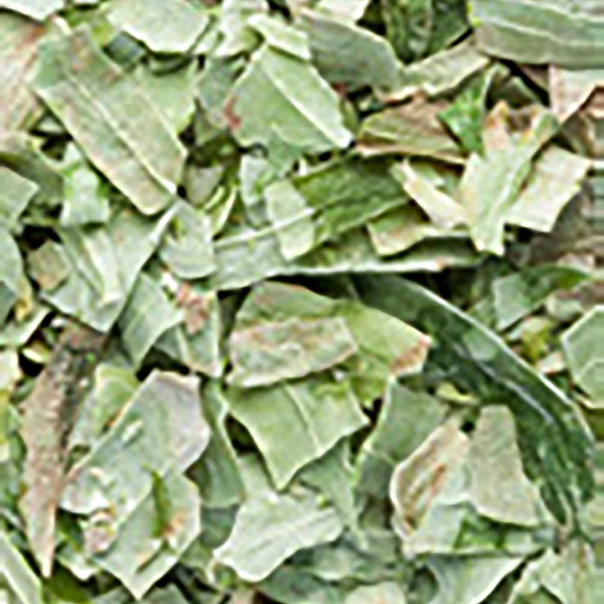 tarhon-liofilizat_10